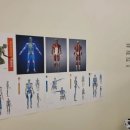 동기부여짐 | [동탄PT] 동기부여짐 리뷰 및 내돈내산 후기 (동탄PT/장지동PT/바디프로필/다이어트/통증케어)