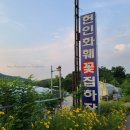 내곡동701 | 서울 강남 꽃시장 헌인화훼단지 : 화훼시장이 정말 넓고 꽃과 식물을 도매가로 저렴하게 살 수 있어요