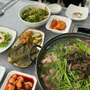 송해와오리백숙 | 대구 오리백숙 율하동 맛집 송해와오리백숙 능이백숙 후기
