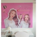 카페위밋데얼 | 이달의소녀LOONA 이브Yves(aka 하수영) 생일카페 카페 위밋데얼(wemeetthere) 방문 후기