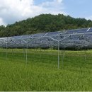 월평태양광발전소 이미지