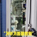 거부기 동물병원 | [동물병원 추천] 서울에서 일산까지 중성화 + 초음파 후기! &#39;거부기동물병원&#39;