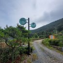 팽나무 민박 이미지