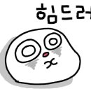 회기동헬스학교 경희대학교점 이미지