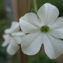 소설로 배우는 영어 이미지