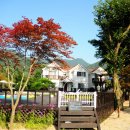 풀향기머무는집 이미지