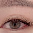 수원-1477 이미지