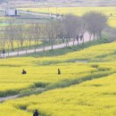 봄나들이 이미지