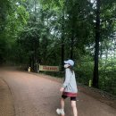 남해산장 이미지