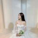 더봄애견 이미지