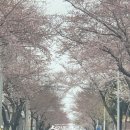 호근서호로 이미지