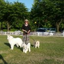 분당구청 이미지