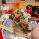 하나미치 - 송파구 법원로9길 26 | 일본여행 오사카 난바 우나기야 하나미치 장어덮밥 맛집 후기