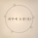 피부에오광(光)