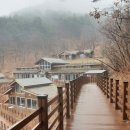 대관령 치유의 숲 이미지