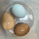 이너라인GYM 월곡점 | 월곡 PT 4회차 3kg 감량 이너라인GYM 월곡점