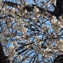 완산지하도 경관개선 | 관람포인트, 주차장정보, 대한민국 아름다운 도시숲 50, 2024년 산림청에서 인정한 '경관개선형 도시숲')