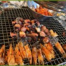 야외돼지