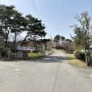 (주)자연촌여주참숯마을 | 접대 캠핑하기 좋은 여주참숯마을캠핑장 펜션동 및 숯가마, 실내수영장 후기