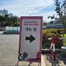 윤하김밥 | 서울 그랜드민트페스티벌 GMF2025 Day2 후기 (feat. 임신 17주차) 윤하, 씨엔블루, 소란, 10cm, 멜로망스