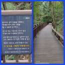 제711회 행복걷기 사가정 뎃크길 걷기 공지 이미지