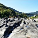 순창장군목다슬기탕 이미지