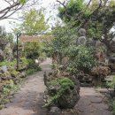 제주돌마을공원 이미지