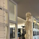 강릉헬스 몬스터짐 입암점 이미지