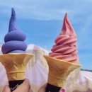 지에스(GS)25 포천신북가나안점 | [포천 가볼만한 곳] 허브아일랜드 핑크뮬리 축제 (~11/30)