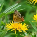 부전계곡(하) 이미지