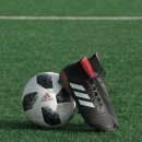 북극곰국어논술학원 이미지