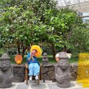 전북특별자치도 익산시 왕궁면 흥암리 487-43 | 익산 실내 아이와 | 왕궁포레스트, 키즈카페와 식물원 식당까지