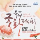 국화