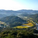 대전꽃동산
