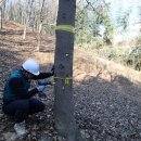 국립산림과학원
산림바이오소재연구소 이미지