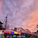 힐링펜션 | 대이작도펜션 힐링뷰펜션 방문후기