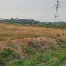 현대자동차 앞 이미지