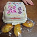 대한유치원 | 강원도 농촌유학 일상_병설유치원