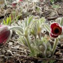 친구야놀자 이미지