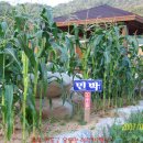 영동공업사 - 남구 정동로 95 | 영동공업사
