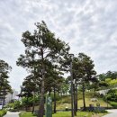 중앙역사공원(북쪽) 이미지