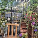 논현2-126 이미지