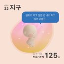 임당지구1 | [임신 20~27주] 입체초음파/태교여행/임당검사/출산준비