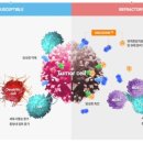 카인넥스 이미지