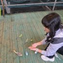 동전던지기 조형물 | 파주 퍼스트가든 | 가족나들이 동물원 포토존 꿀코스 후기