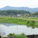 경남함양이은349 이미지