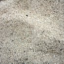 홍조바다 이미지