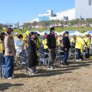 댕댕아 놀자 이미지