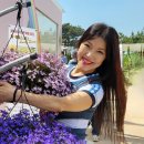 보령댄스학원 Daum카페
