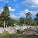 버지니아주 알링턴 국립묘지(Arlington National Cemetery) 이미지